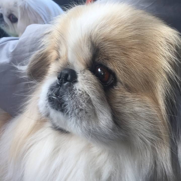 B2ce6582 0fba 44e3 ac5c 04cabc54975f 1558911337504