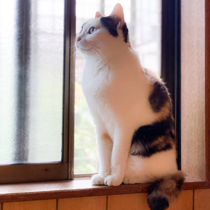 B2cedfa1 0711 4193 a2ce 5421c0c4176e 1592962077154