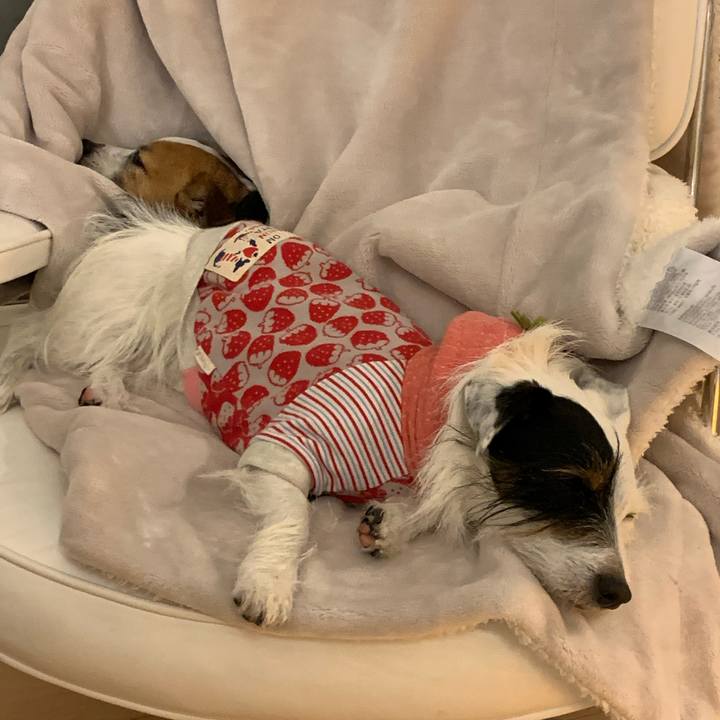 B2cee162 534b 4131 a7c7 77e6bbb4024d 1579860713946