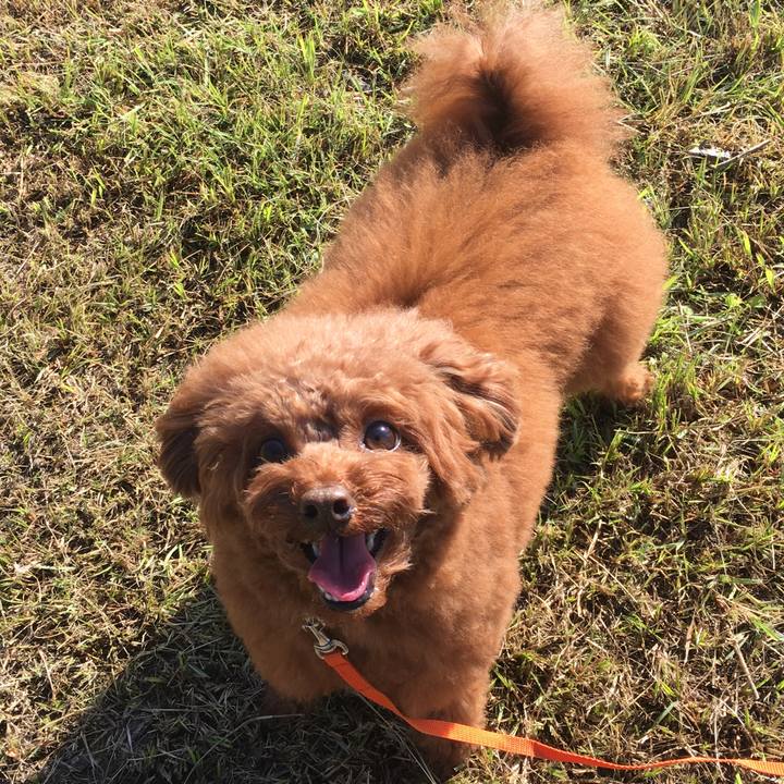 B2cee7b3 fbc0 42ad 8afc cca2fb860183 1540852456515