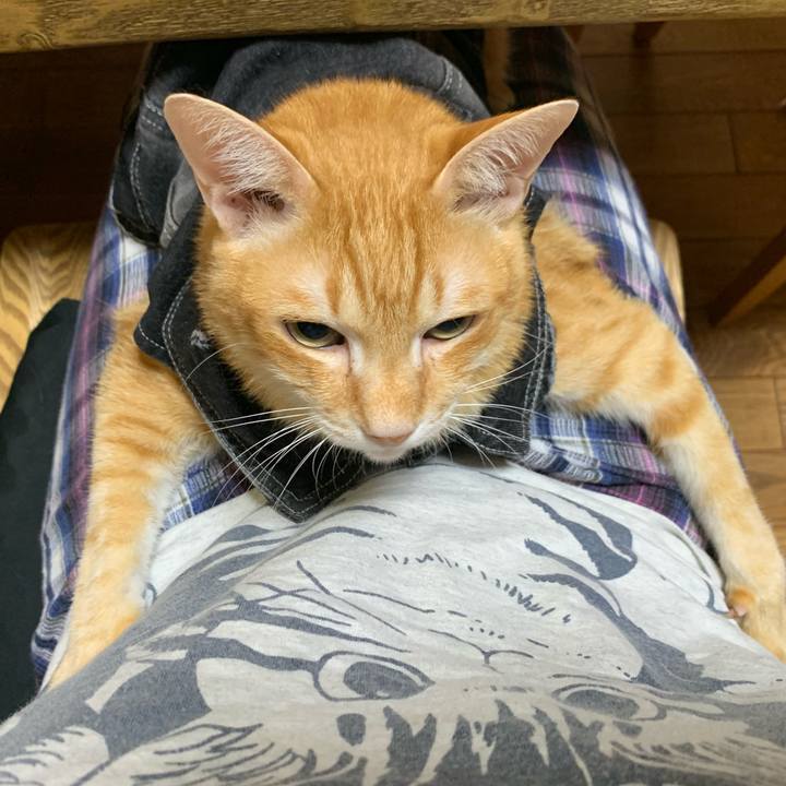 B2cefb8a cf52 4bd9 9bfa 38fe29cb01e1 1625175846965