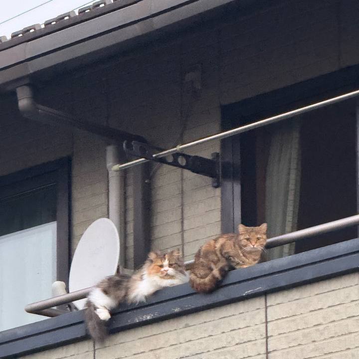 B2cf18aa ff7c 4f79 86f4 3a9f54c543ea 1758075152772