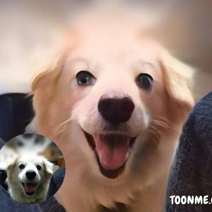 B2cf237c 1830 4a98 944b 642484f8c22f 1647731284887