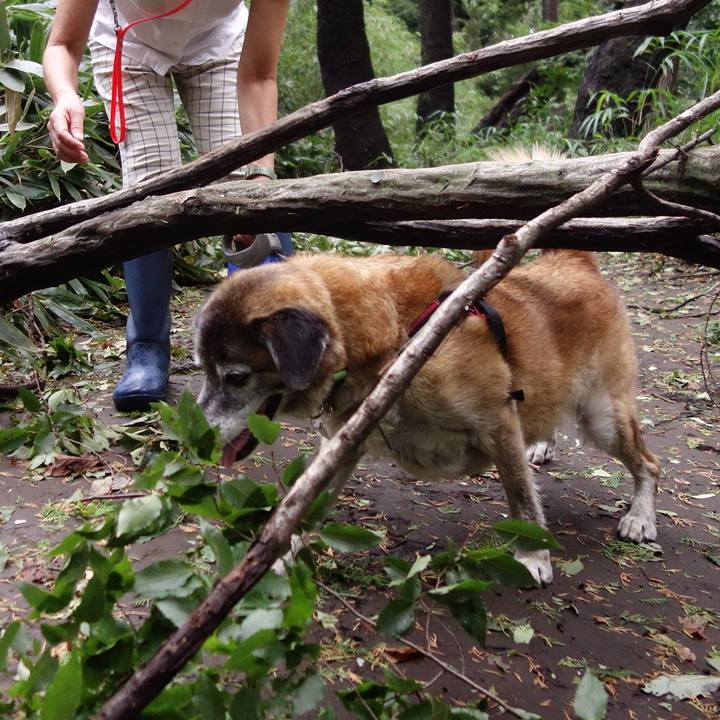 B2cf85e5 60e2 4a35 83c2 752aefa61d43 1567989172628