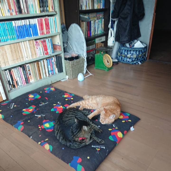 B2cfcda9 86ee 45af 80d4 063551d5e797 1663194210939