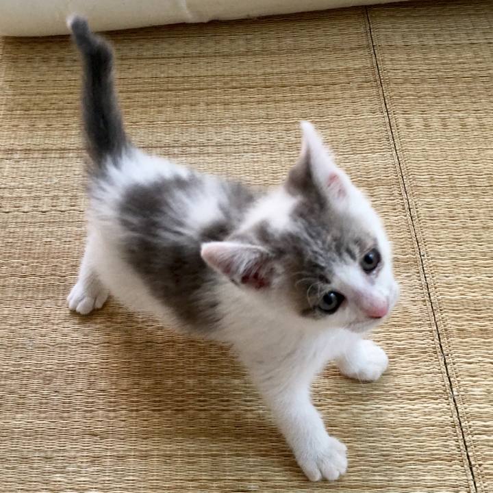 B2d06e29 3a0b 4d9b 9f5d 30671fd92633 1511358403426