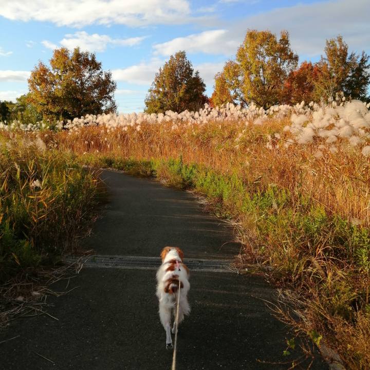 B2d08a97 4f6f 492c 963b 369462759b6b 1606122430329