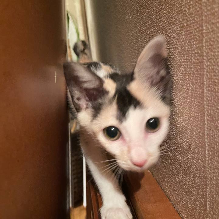 B2d0b503 7e1e 470f 998c 746da58c09f7 1658184807677