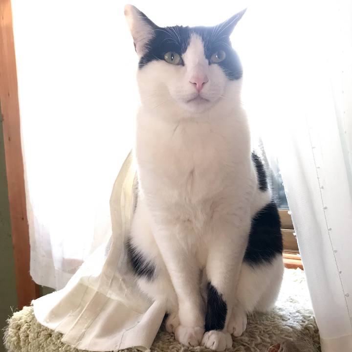 B2d0b5e2 d8c5 4442 8319 a86352363009 1515508415654