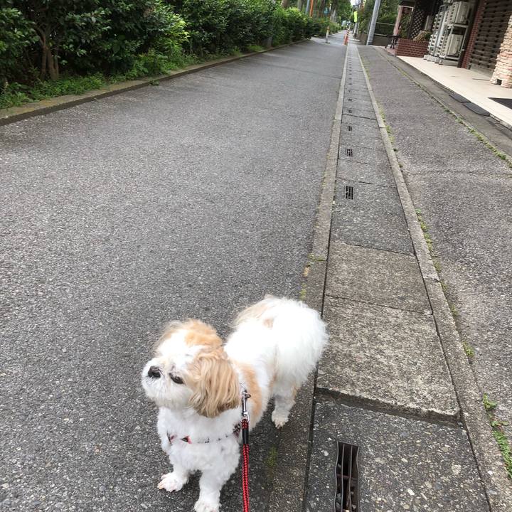 B2d0cda1 9e31 4aaa 9e88 7b27847dd088 1625089535167