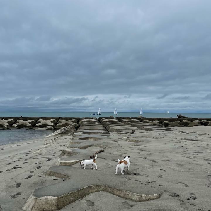 B2d0d824 be60 4d82 8f8d 1b6801f7cb62 1628900700443