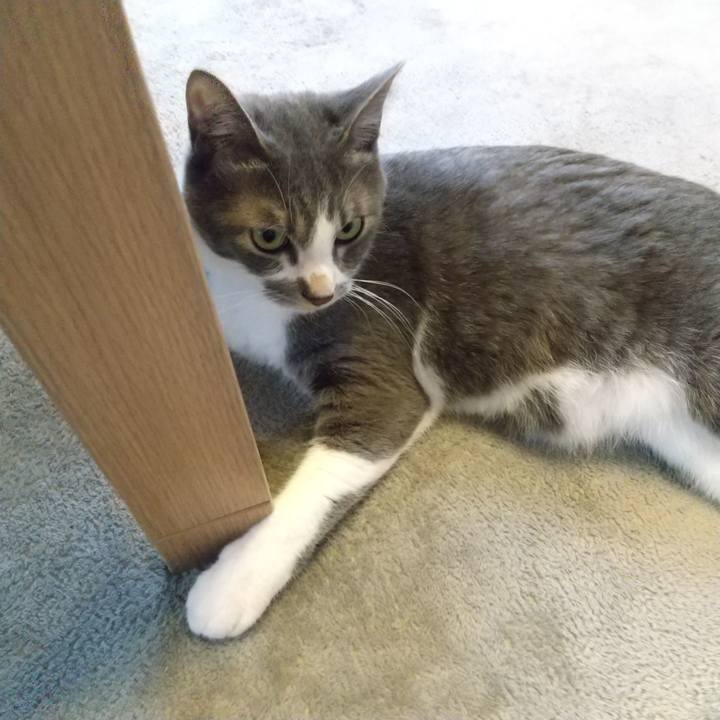 B2d0df56 39c8 4609 9e0d f4ce8b274e0d 1620387899303