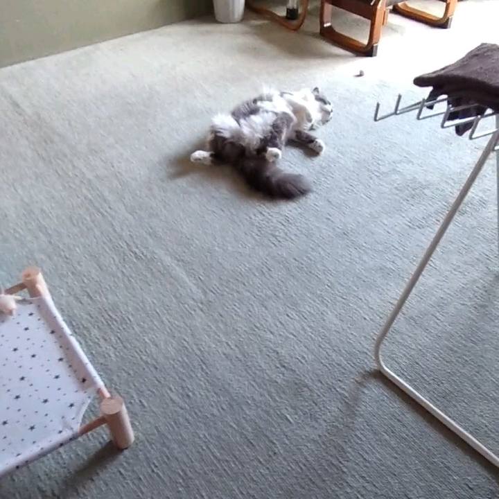 B2d0f834 eef1 49ad ba20 67fcc4ab33bc 1656225113564