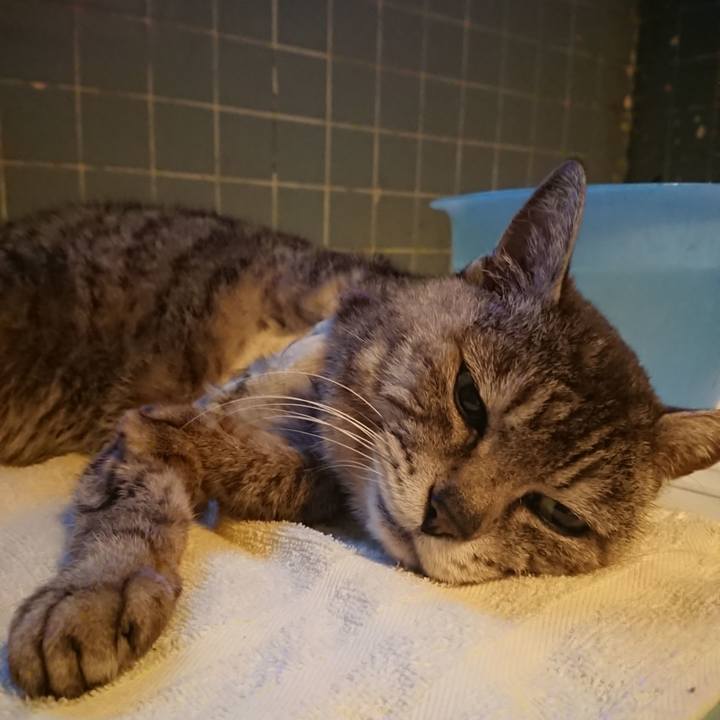 B2d138f1 adbd 46fe bb71 6ece167f9a22 1589881741189