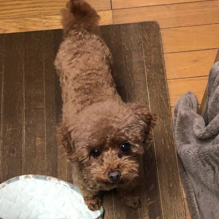 B2d1489a c9bb 4bc8 8070 d092a0fc52c7 1579043292600