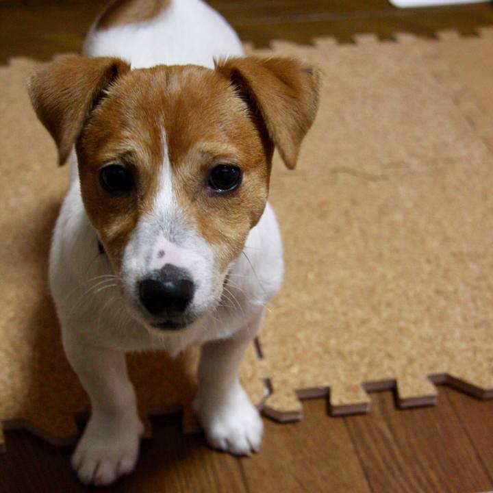 B2d15609 2f8a 4f42 b17e aa311b8ef6f5 1552650666765