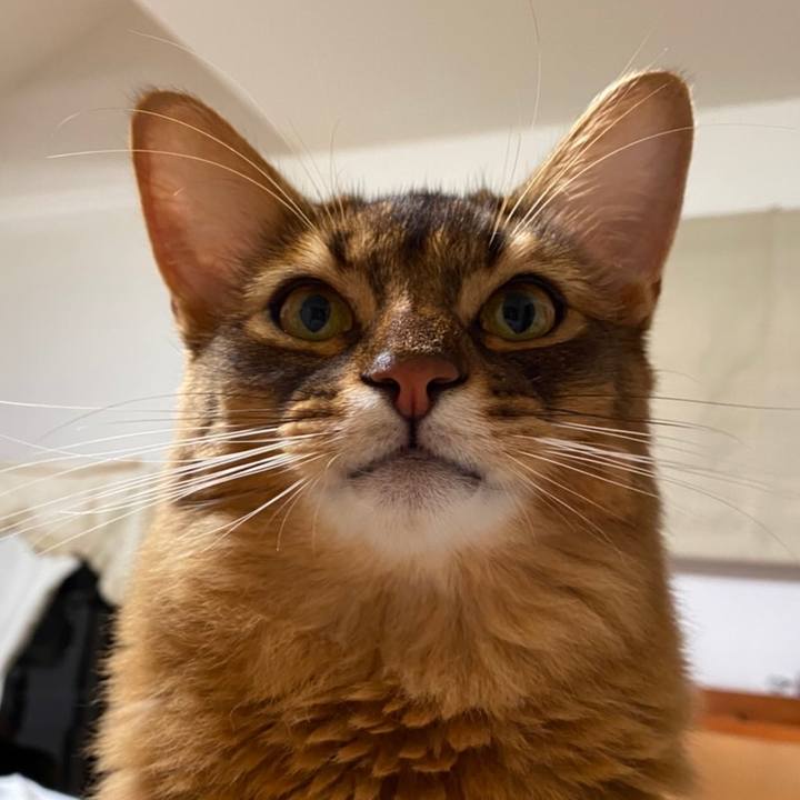 B2d17765 c2d6 49cf 8253 f7d57a5c744d 1634900946312