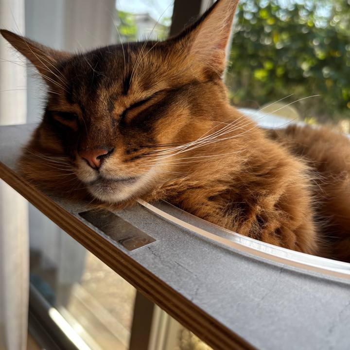 B2d1906b cbbc 4106 8984 03482f3086f6 1759227704787