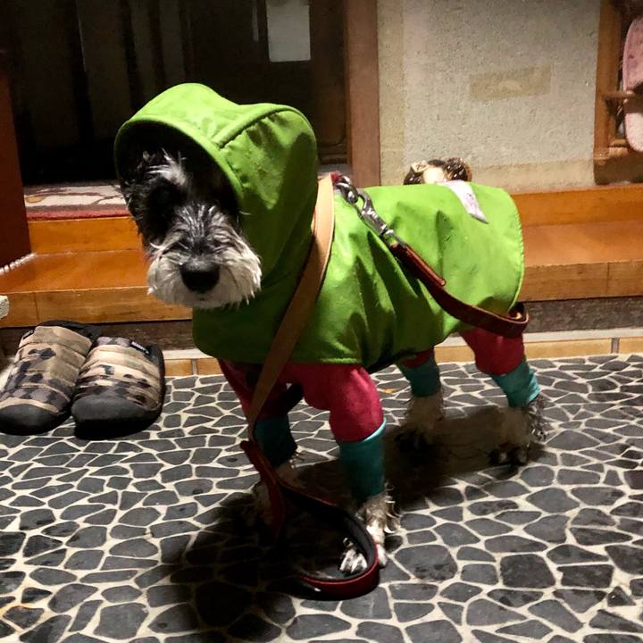 B2d1b90b c039 4576 8512 ad97cbe315c9 1667309202680