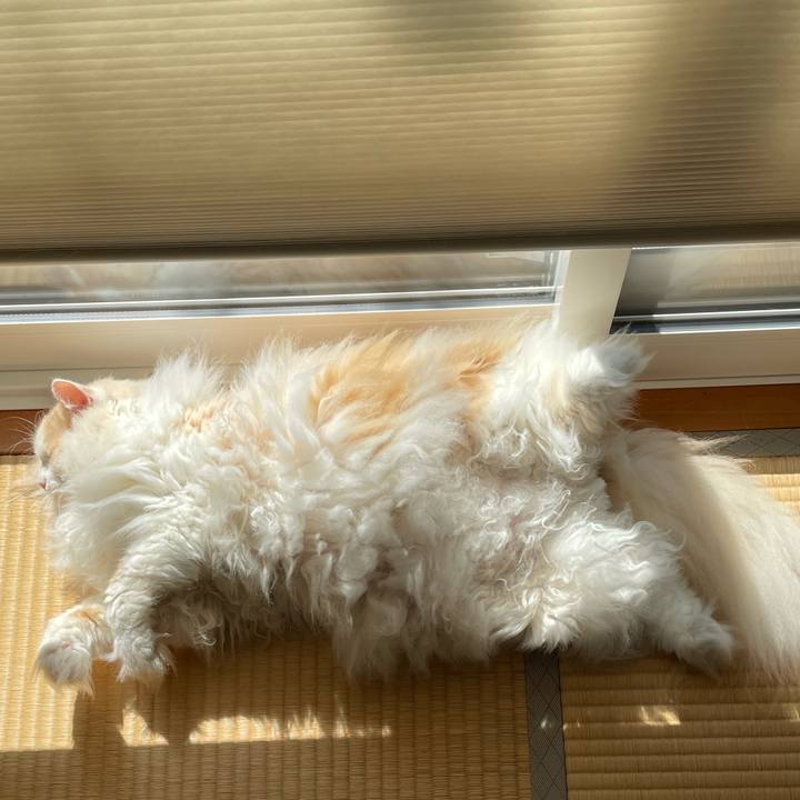 B2d1c101 3f7d 48a3 881d cfff5facf64a 1750893897509