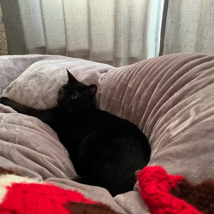 B2d1ce84 537d 483d a120 4a1841d5e78f 1742614895528