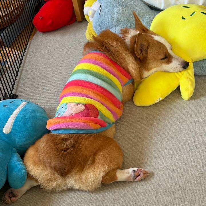 B2d1dc44 8ba0 465c bfa1 abae9921bba8 1773462781565