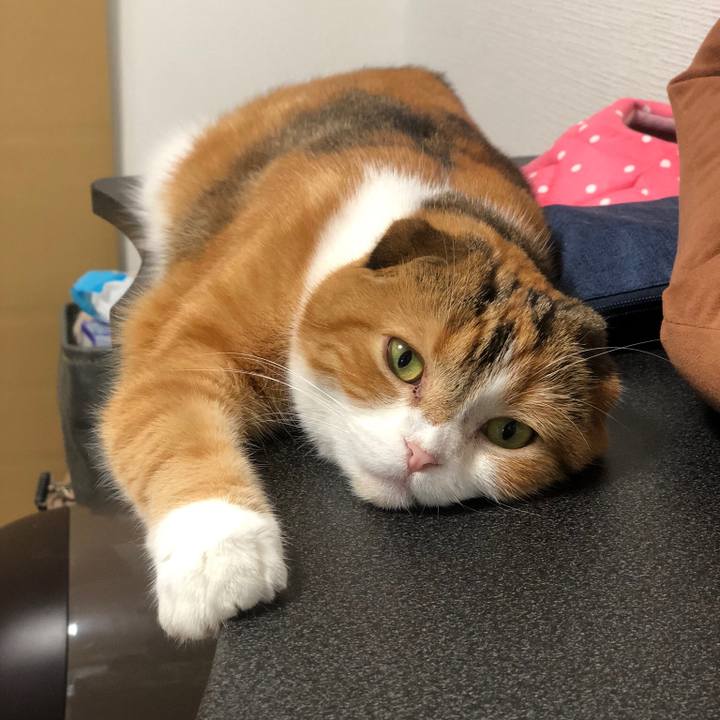 B2d1e482 9de1 4292 8a2c 3ca72862ada3 1565088807841