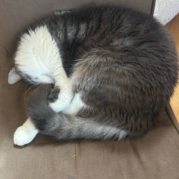 B2d212d7 5584 49e2 ab01 a4d6fc76369b 1775347648315