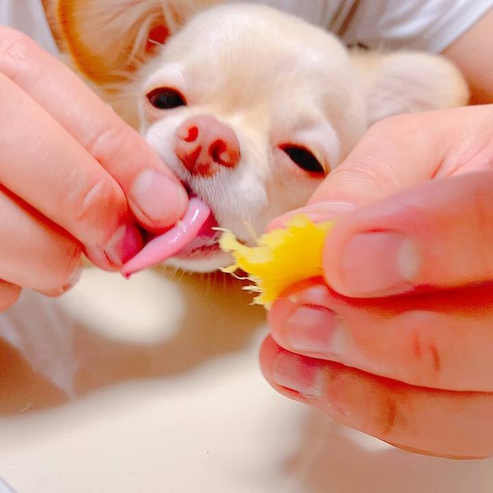 B2d233f5 804f 4693 887d bd89c6a72ac4 1622037036076