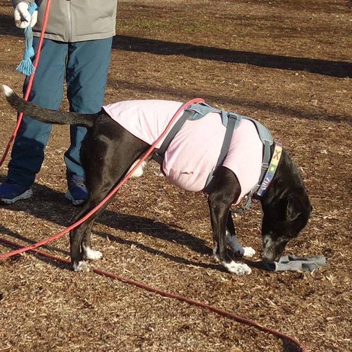 B2d23f25 9f93 4556 875f 1ebe2625bca3 1706661996713