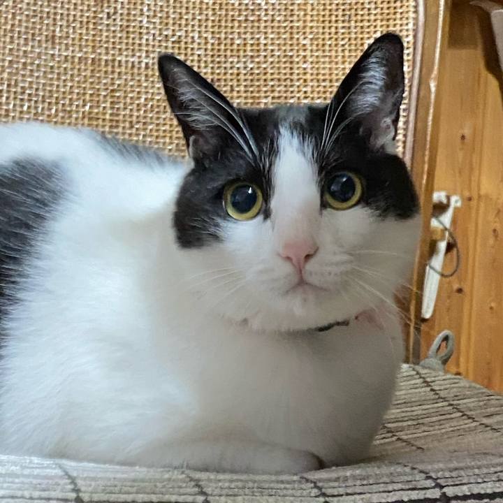 B2d25f6f bc2f 4230 8518 824709710e2c 1632547522819