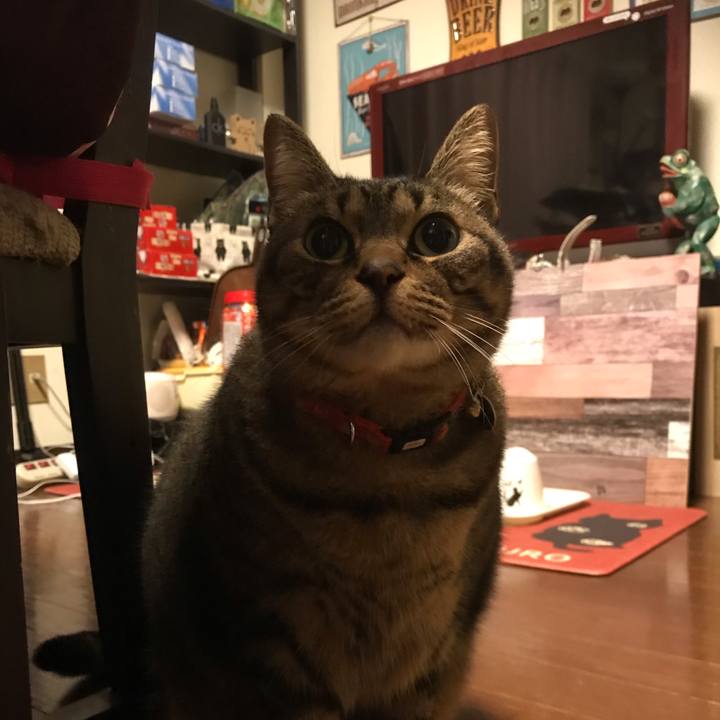 B2d29e21 10b5 45cf 95af 769a092daa32 1611841163953