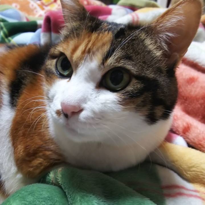 B2d2b4e2 c4fe 4164 b285 48ad2bbe7ac4 1573077477703