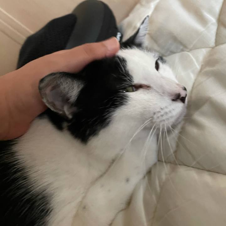 B2d2bde6 8a43 49e0 89dd 43e4ff4eaf77 1626826255291