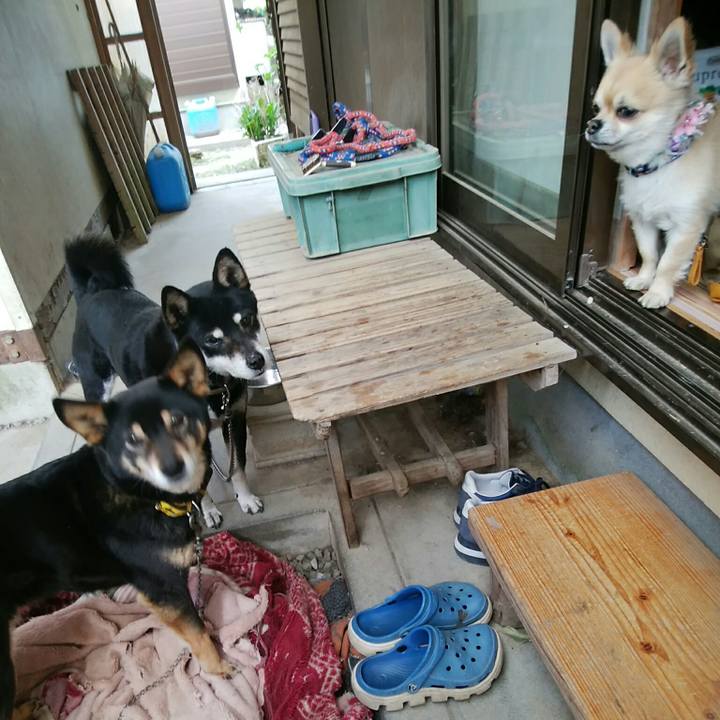 B2d2cad4 05ef 4e83 a964 acdc608f7abd 1554776100154