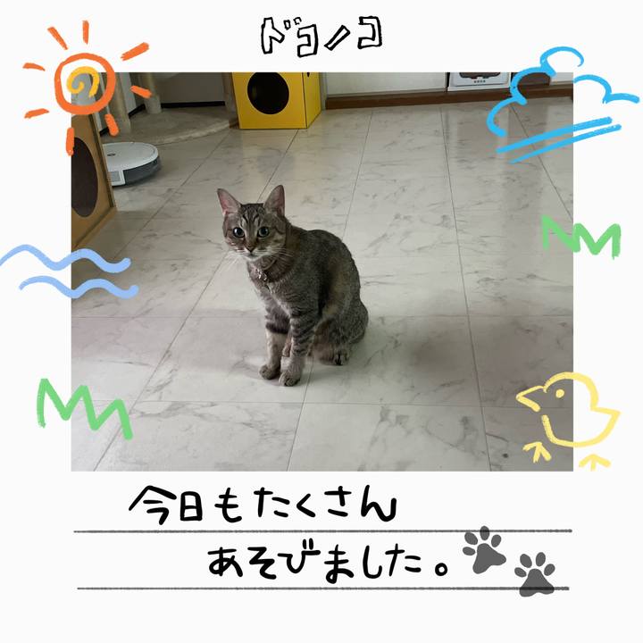 B2d2e293 4a82 4fbc 8d24 19c4002636bd 1755422784251