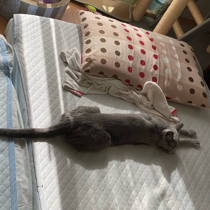 B2d2f29e 53b1 4e3c a9ef 4bd078f64a25 1669289978867