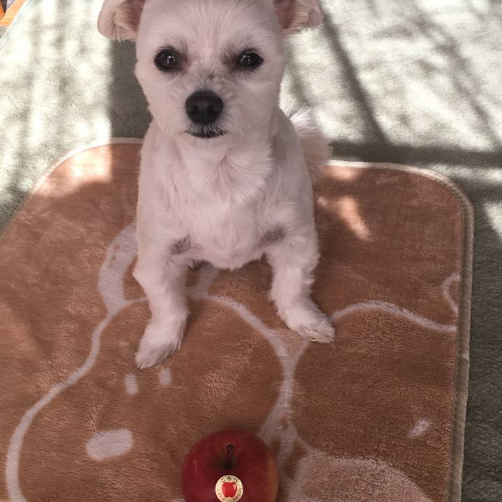 B2d303e9 fb61 4002 aec1 1584147c9c8d 1541899198520