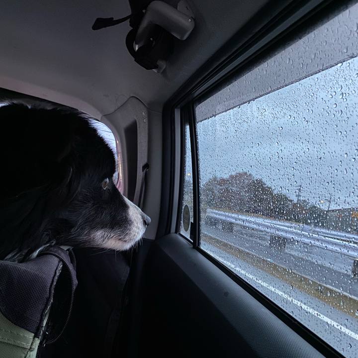 B2d30d73 1c75 4aaa 945e 5505308c94c8 1642890654711