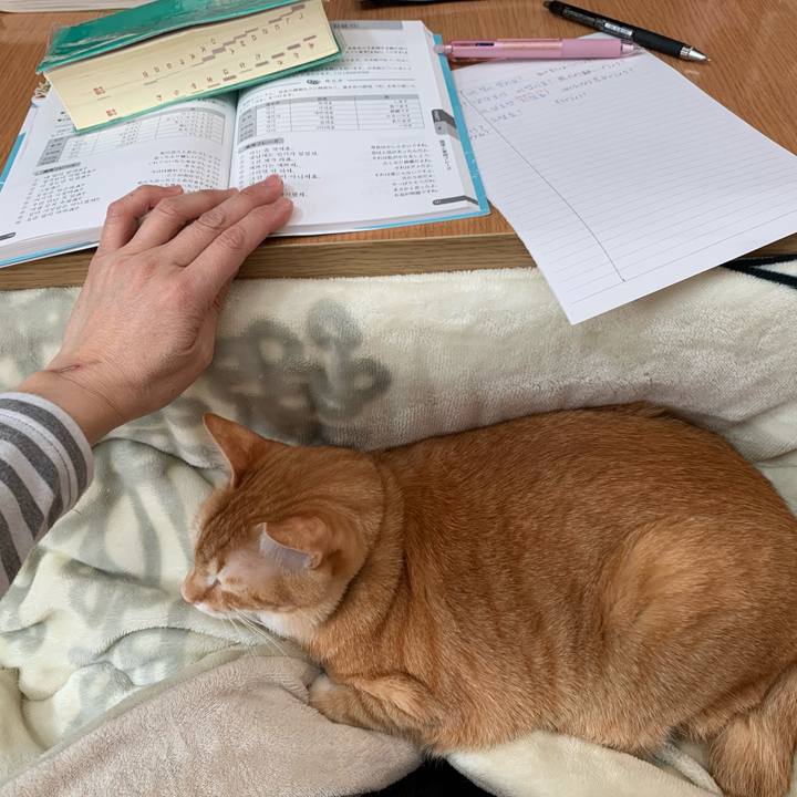 B2d350b3 b282 40d3 9ed4 cf69890a3687 1586584157381