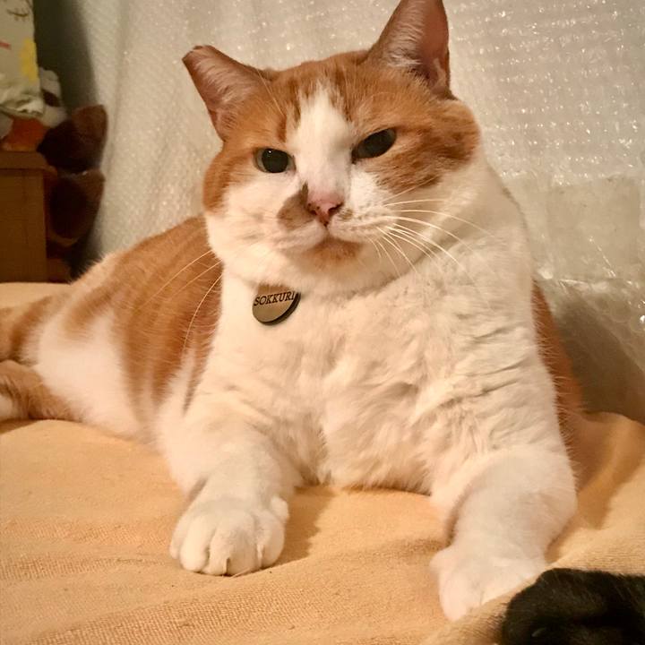 B2d3806d 88bf 40ad b677 171d20929e29 1601649687566