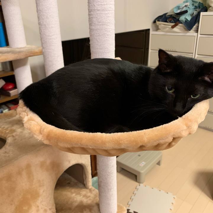 B2d3d614 b8ba 4511 a64f a074828f22b9 1571067594801