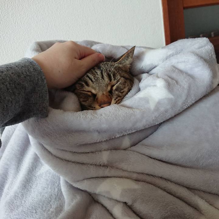 B2d3de25 bfeb 4fdb aa52 445f1040aab8 1609039785400