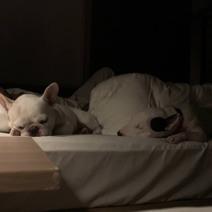 B2d3f0db f7e8 4b45 a172 0f49001b6682 1567227008719