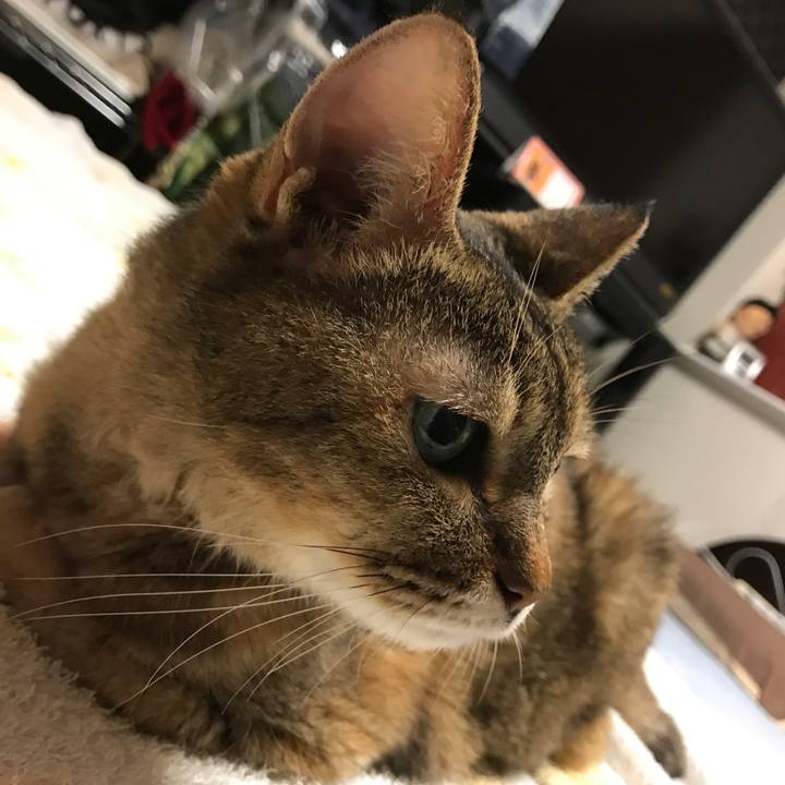 B2d4109f 389c 411c be76 1b79a3d77139 1536840978417