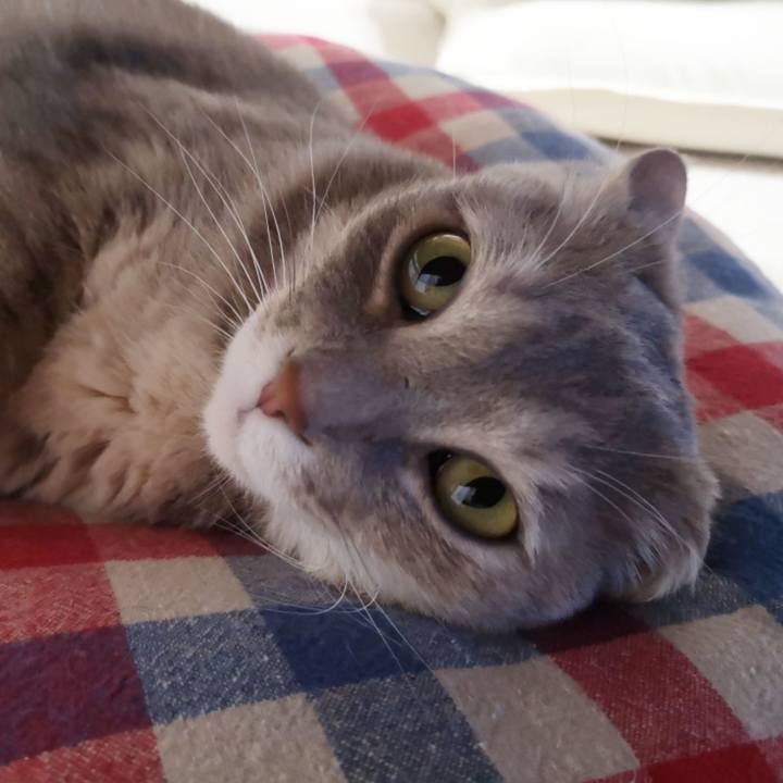 B2d41a77 16f9 49f6 bf03 c7750a066b74 1589810760143