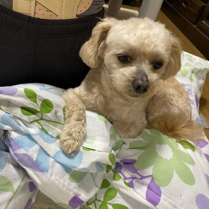 B2d459d8 091f 4bb7 a705 6b02c61d9477 1622801524537