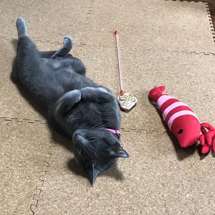 B2d479c6 81a1 4472 b7a7 47f845c13b18 1526368102380