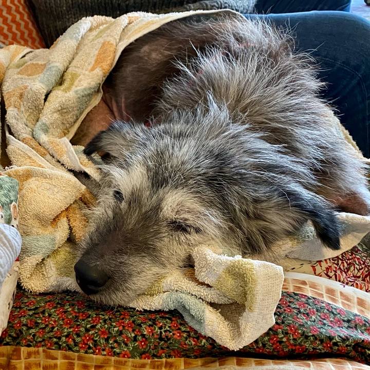 B2d4907d 33f0 4000 b3ef 066e7c2a435d 1615094742031