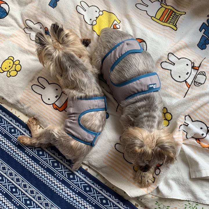 B2d49b31 cc8c 46ec 9e34 32a87541b442 1688725267430